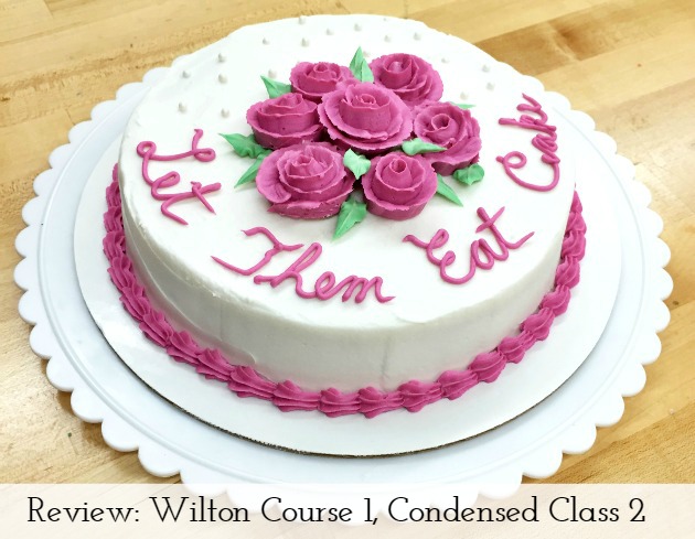 Wilton Course 1 Final Cake