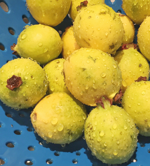 Making Guava Jalapeno Jelly